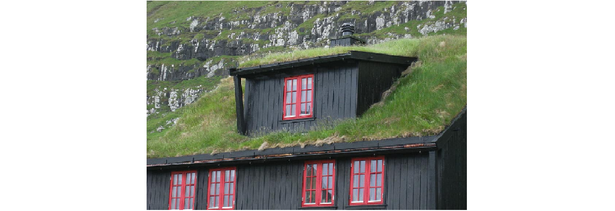 5 Myths about the Green roof and the answers for them